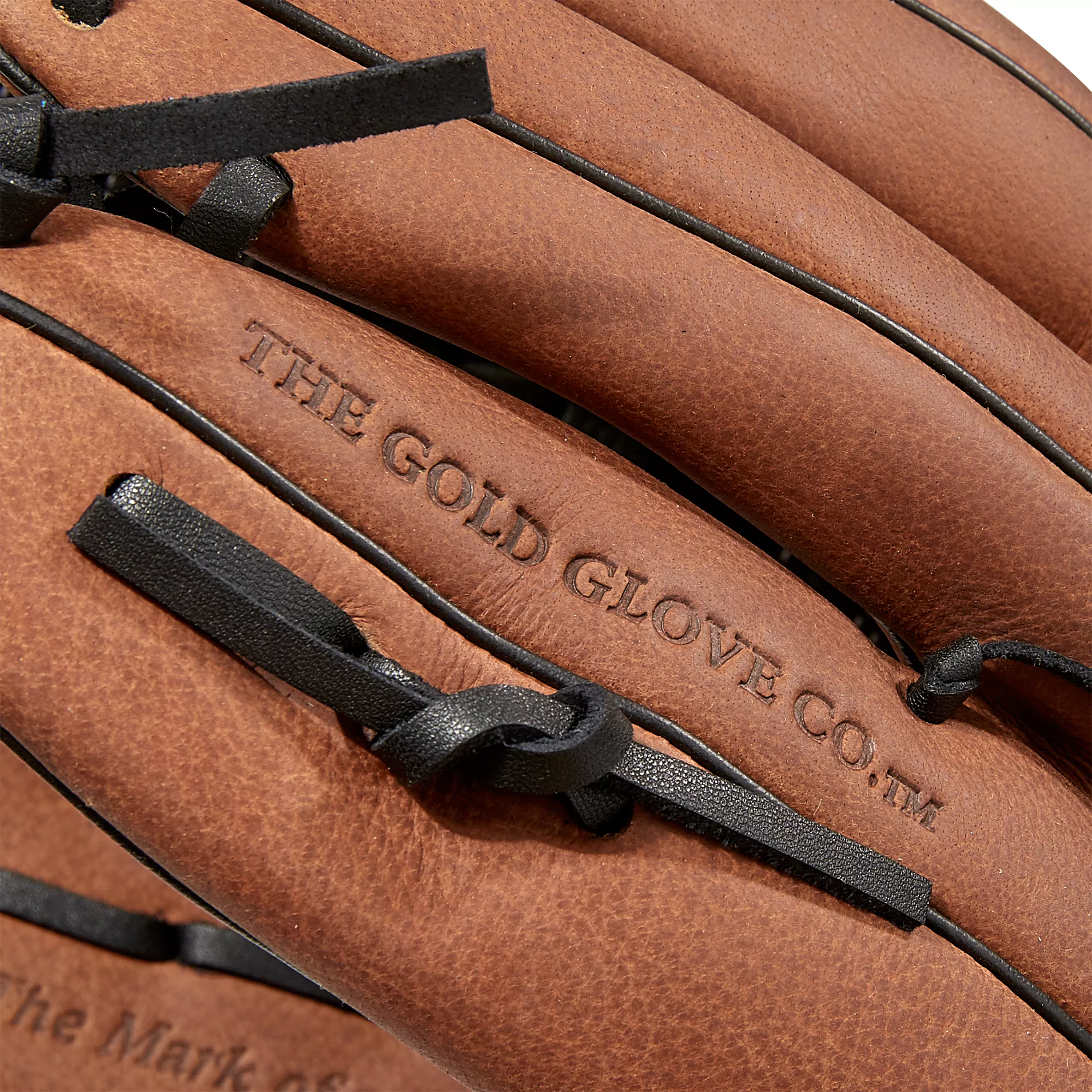 Rawlings 12.5'' Premium Series Slowpitch Glove 9 Rawlings 12.5'' Premium Series Slowpitch Glove - Image 9