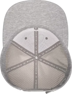 EvoShield B.I.G. Snapback Hat -Rawlings Sport Gears Store ESBIGSNP WTV8743HGOSFM HeatherGrey TOP